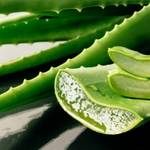 natural aloe vera